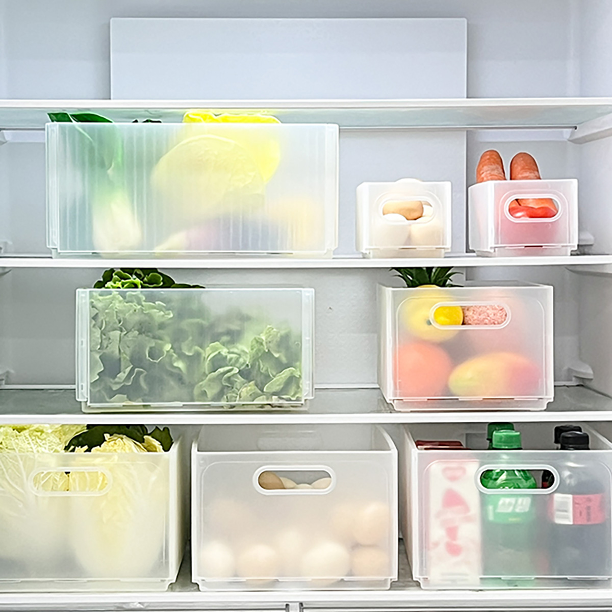WORTHBUY 플라스틱 접이식 냉장고 보관함 당겨서  - Xxl Food Storage Container 리뷰 및 가격
