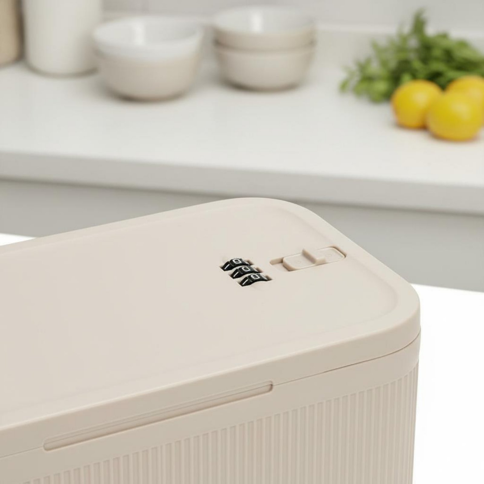 조합형 잠금 상자 냄새 차단 건강용품 보관함 식품 보관 - Food Storage With Lock 리뷰 및 가격